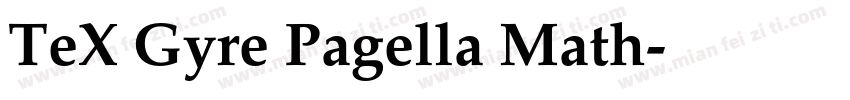 TeX Gyre Pagella Math字体转换